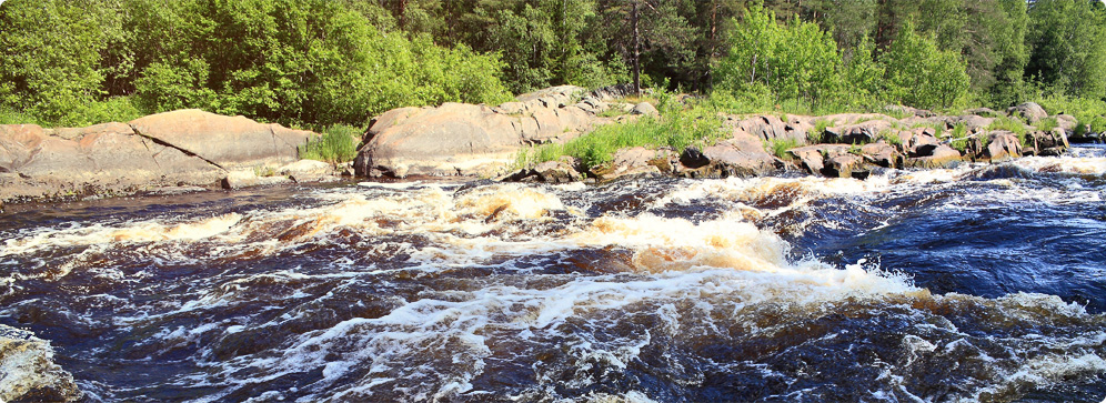 Yleistä