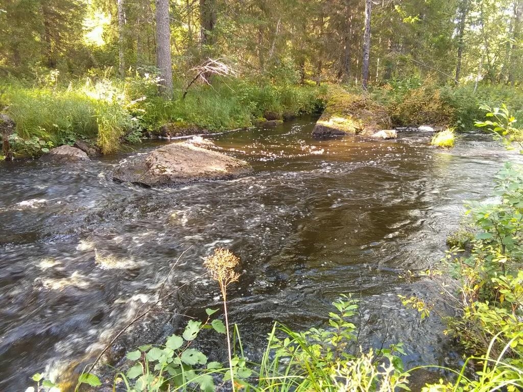 Vesankoski (kuva: Petri Haapala)